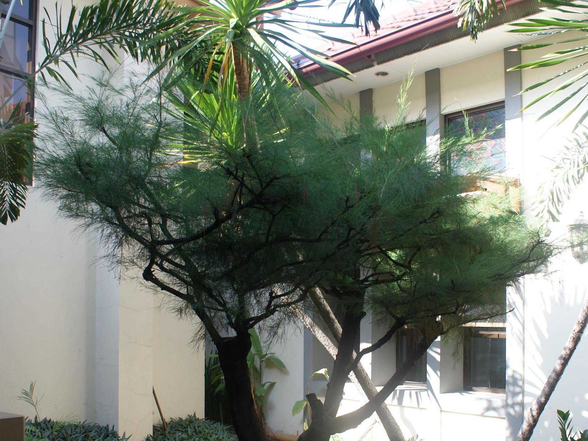 Sofyan Hotel Soepomo Jakarta Ngoại thất bức ảnh
